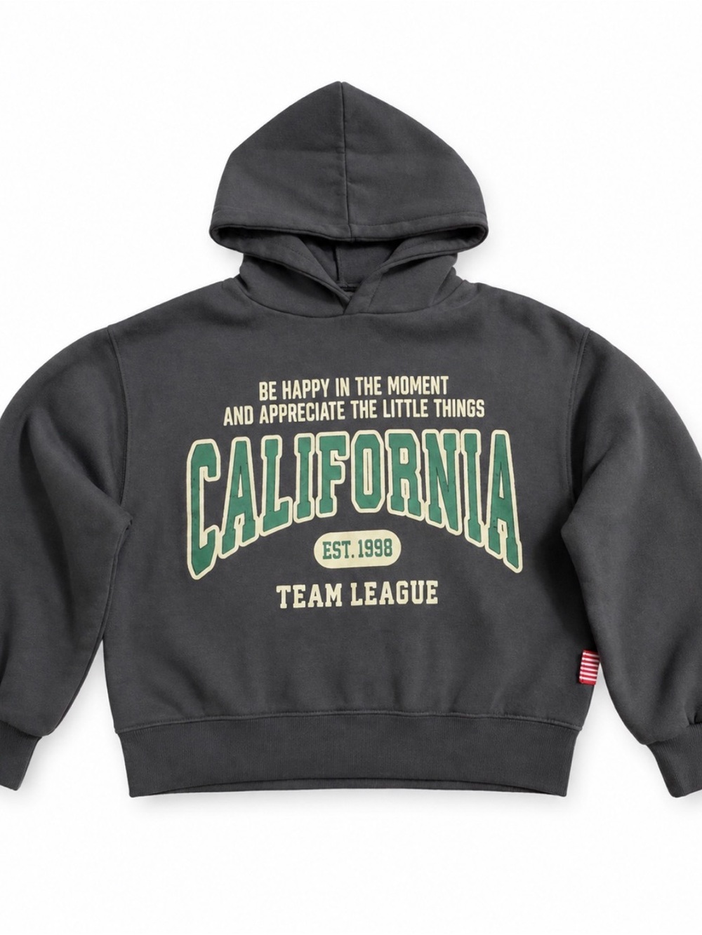 Zara Dark Gray Hoodie with Green California Graphic. Size 13-14 yo